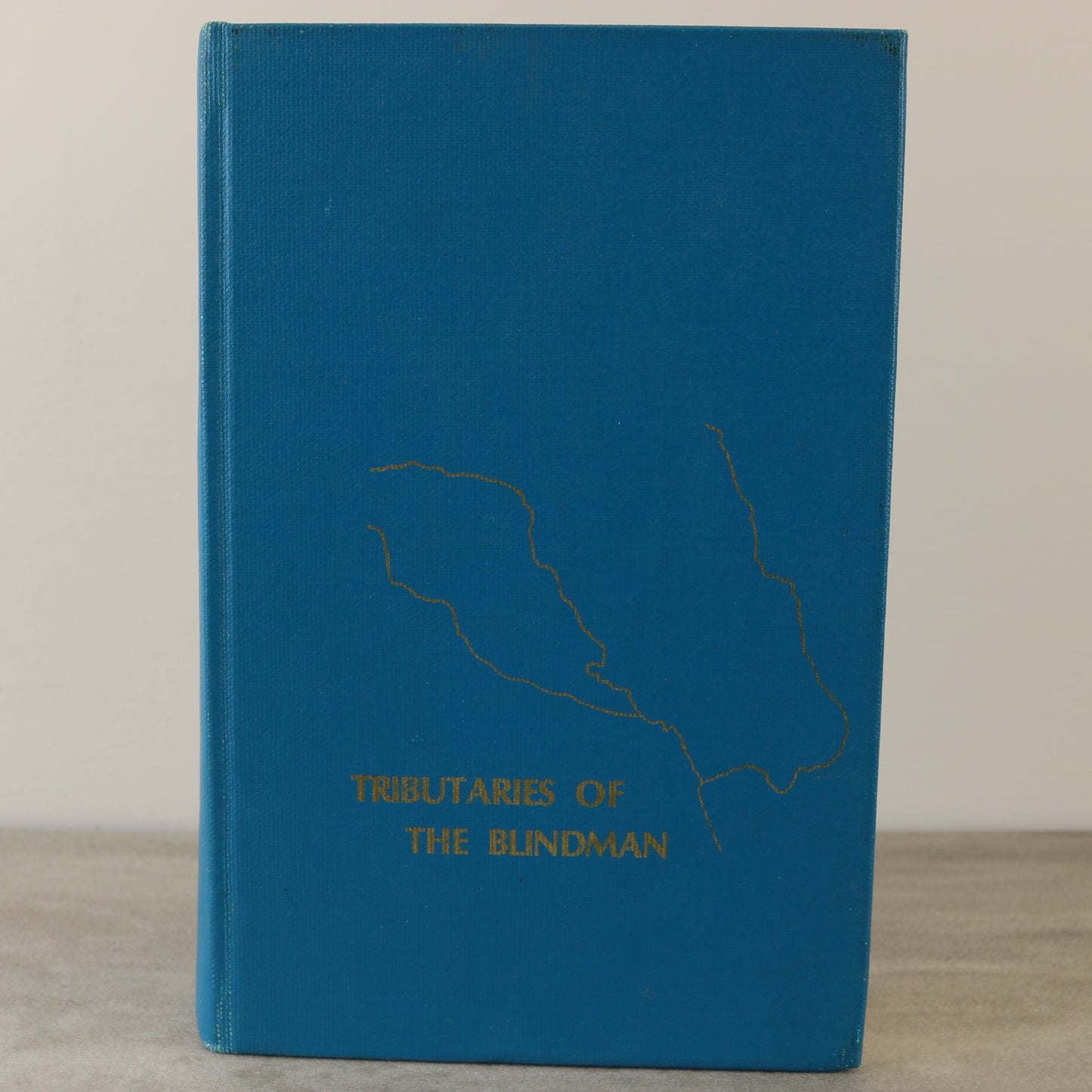 Tributaries of the Blindman Springdale Alberta Canada Local History Used Book