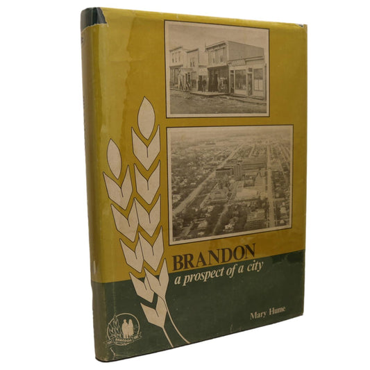 Prospect of a City Brandon Manitoba Canada Canadian Local History Used Book