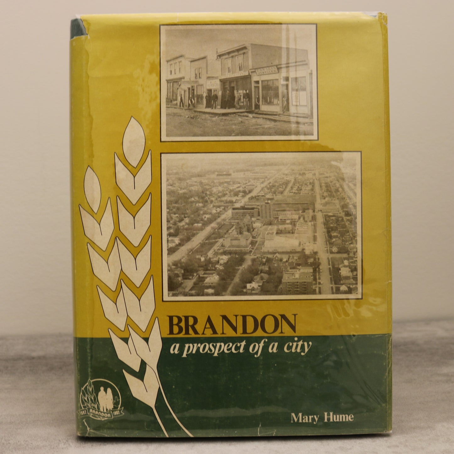 Prospect of a City Brandon Manitoba Canada Canadian Local History Used Book