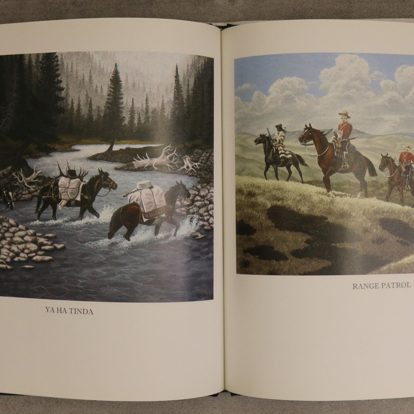 Spirit of the West Don Brestler Art Painting Landscape Alberta Canadian Used Book