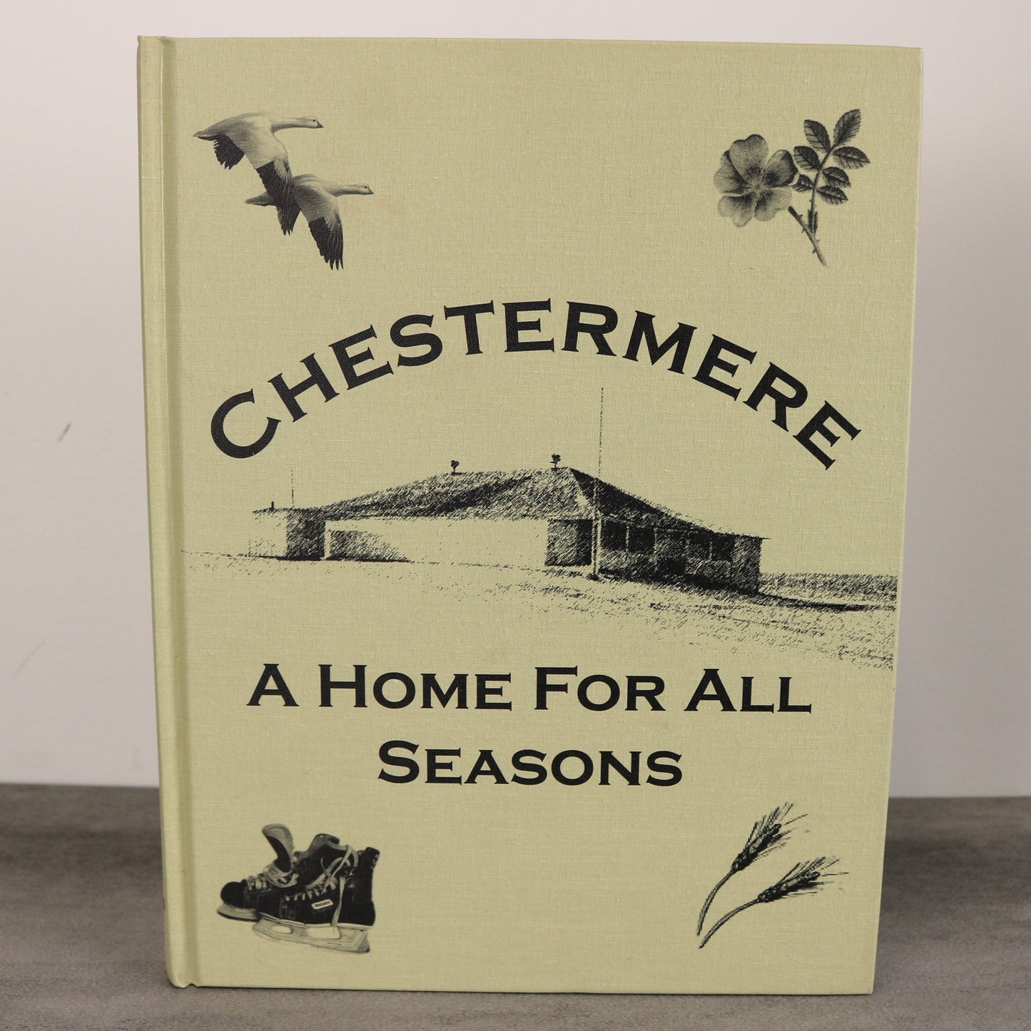 Home For All Season Chestermere Calgary Alberta Canada Local History Used Book