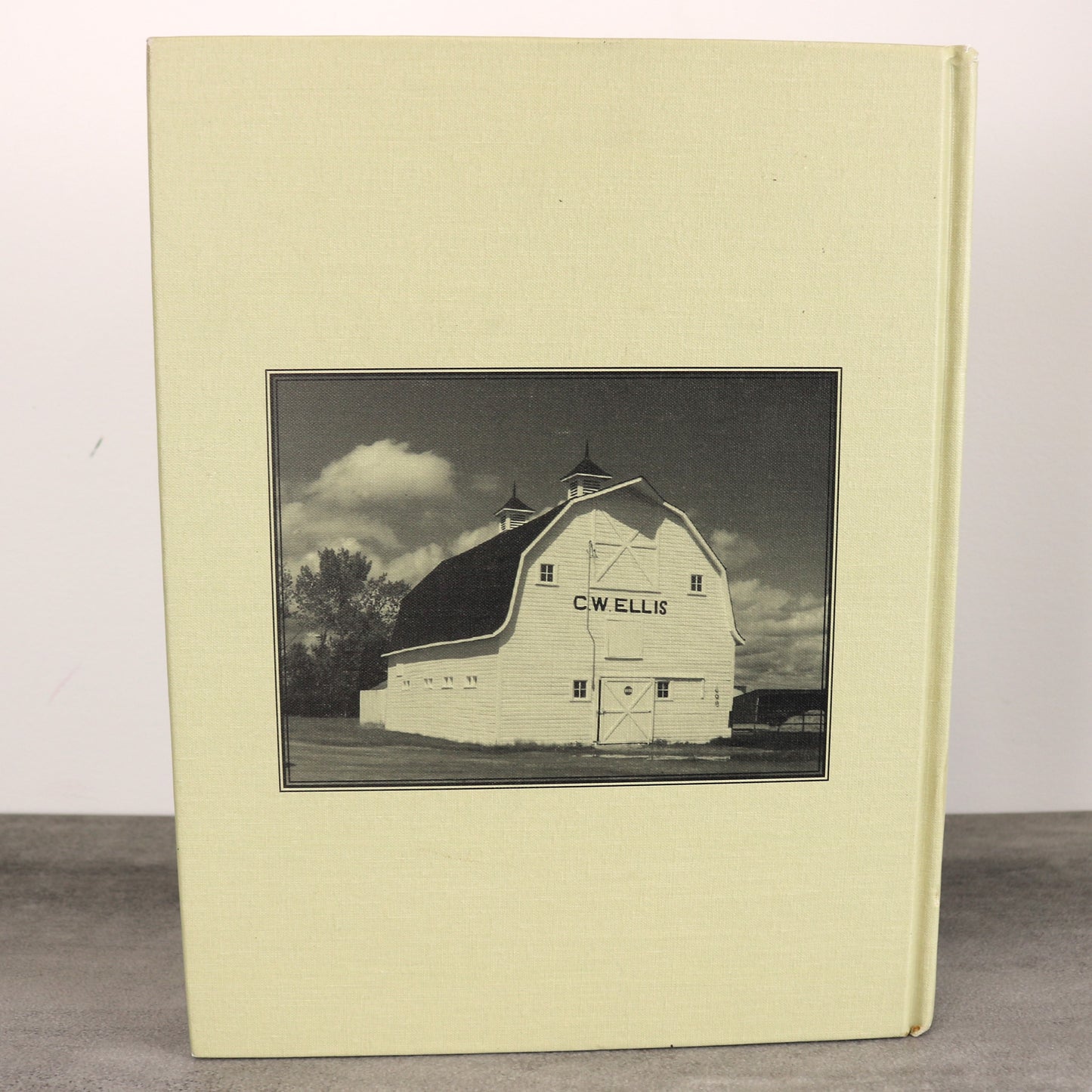 Home For All Season Chestermere Calgary Alberta Canada Local History Used Book