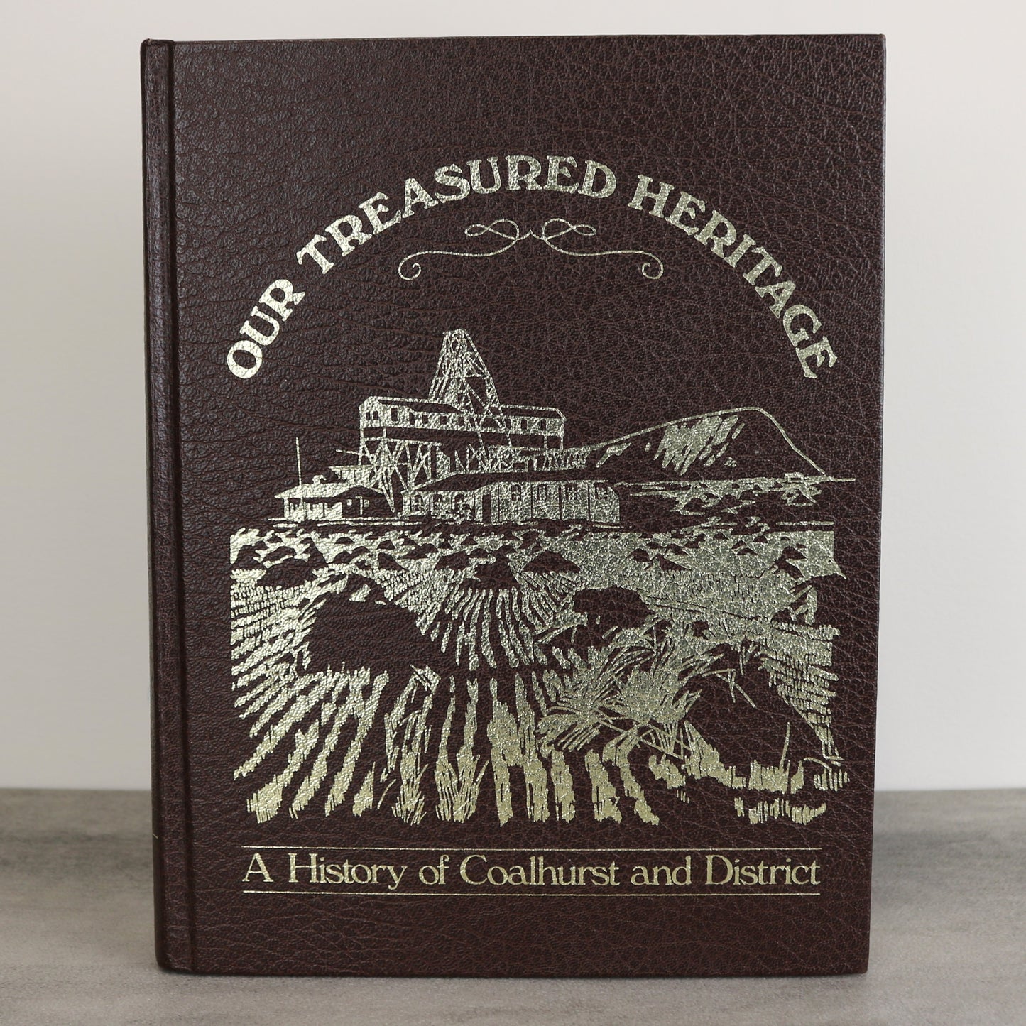 Our Treasured Heritage Coalhurst Alberta Canada Local History Used Book