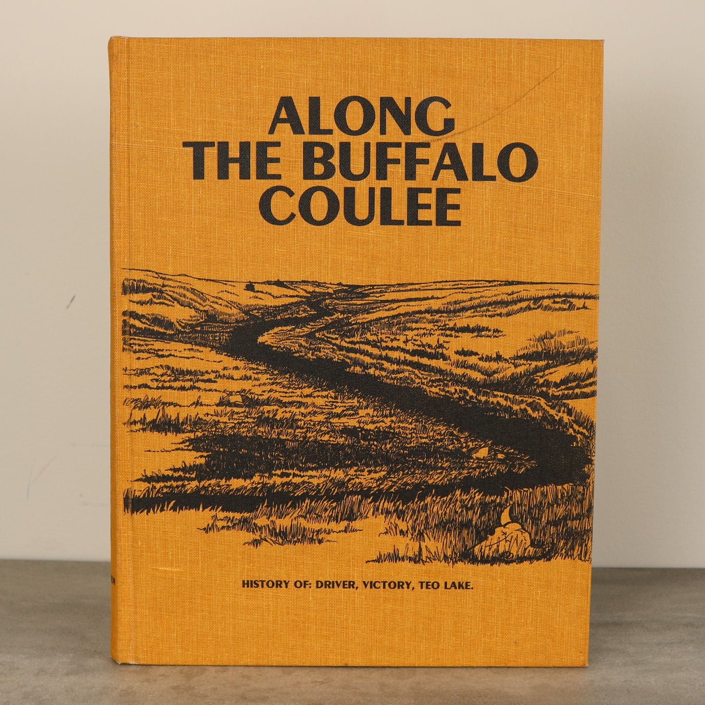 Along Buffalo Coulee Driver Saskatchewan Local History Used Book