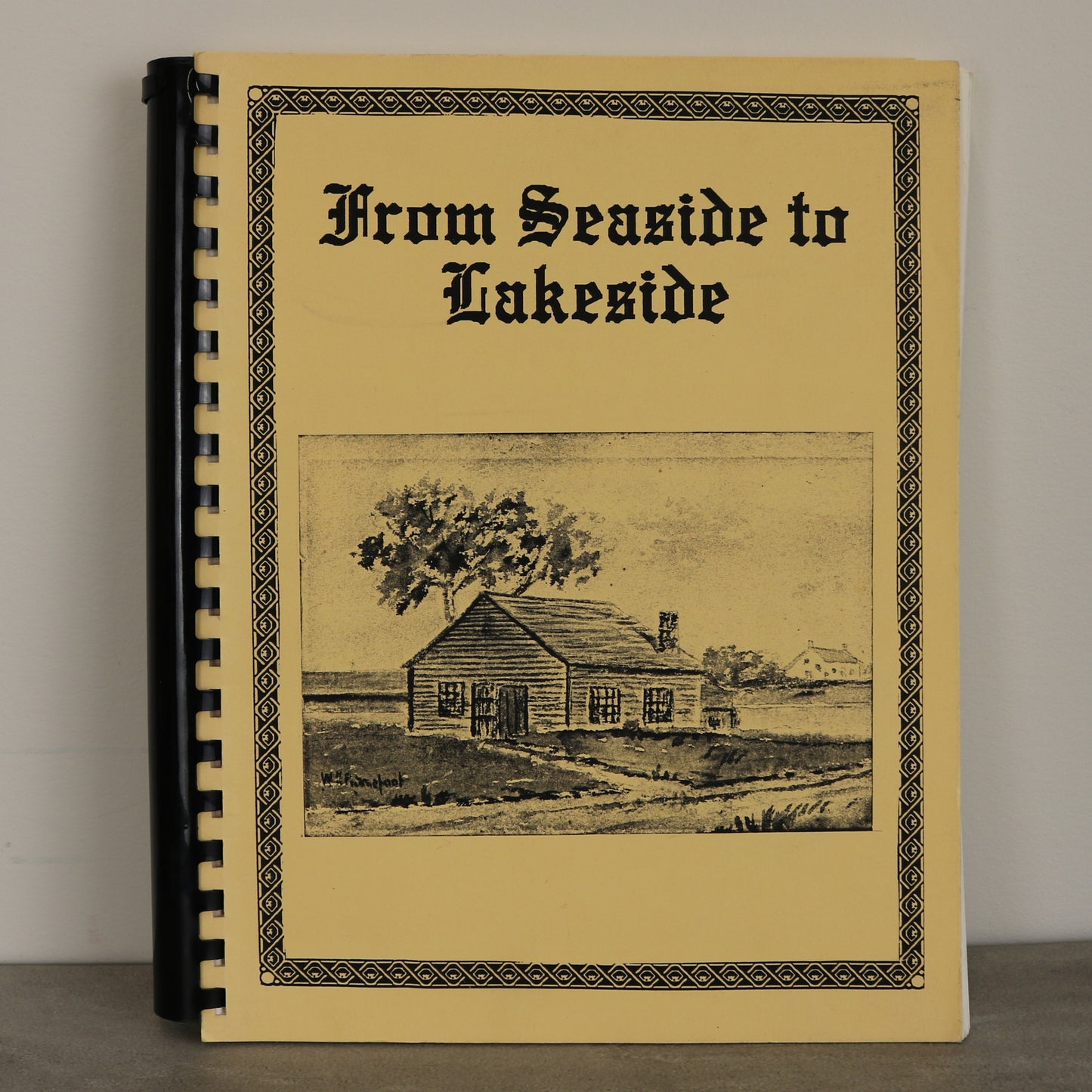 From Seaside to Lakeside Dobson Family History Used Book